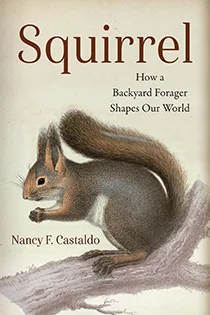 Squirrel By Nancy F. Castaldo